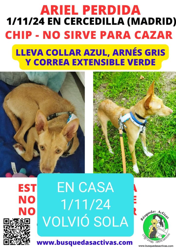 ARIEL EN CASA 1/11/2024